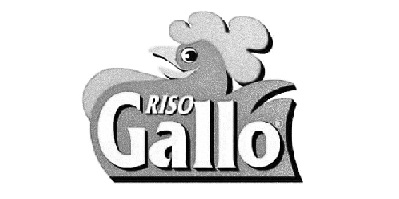 Gallo